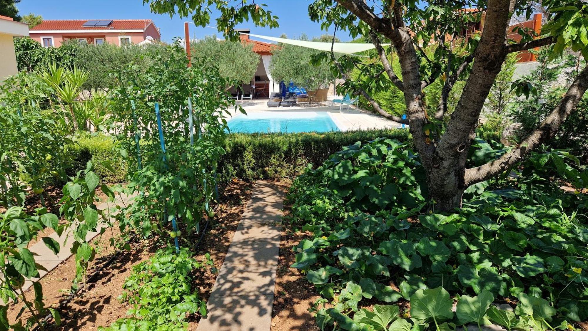 Resort Apartment Petrovic Sibenik Exterior photo